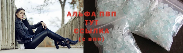 дмт Ельня