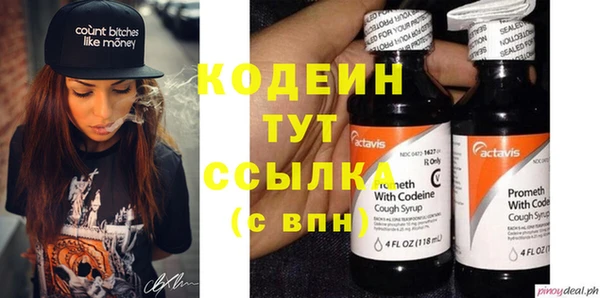 дмт Ельня