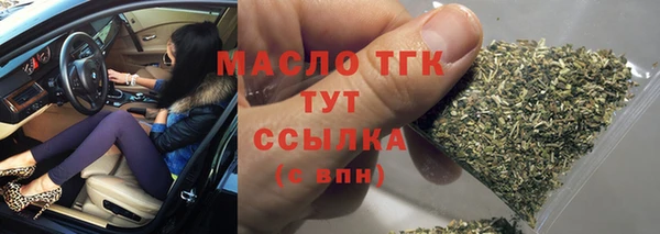 дмт Ельня