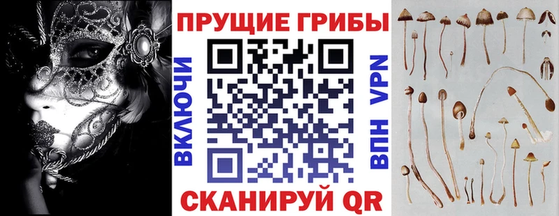 Галлюциногенные грибы мицелий  Калининск 